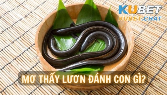 Ngủ mơ thấy lươn đánh con gì? Top 10+ số may mắn nên đánh